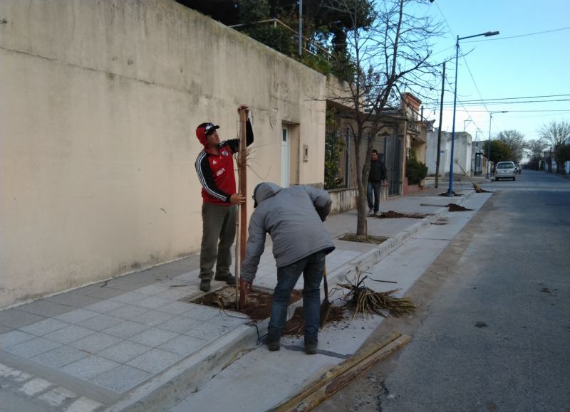 Labores en la jornada del miércoles.